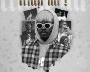 Yung Swiss – Why Me (Remix)