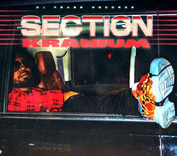 Kranium – Section