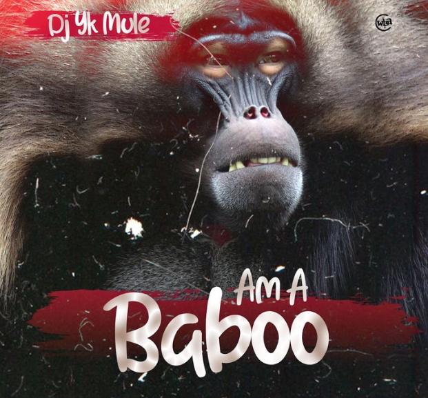 Dj Yk Mule – Am A Baboo