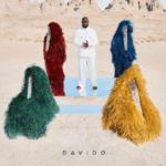 Davido - Sweet Fanta Diallo